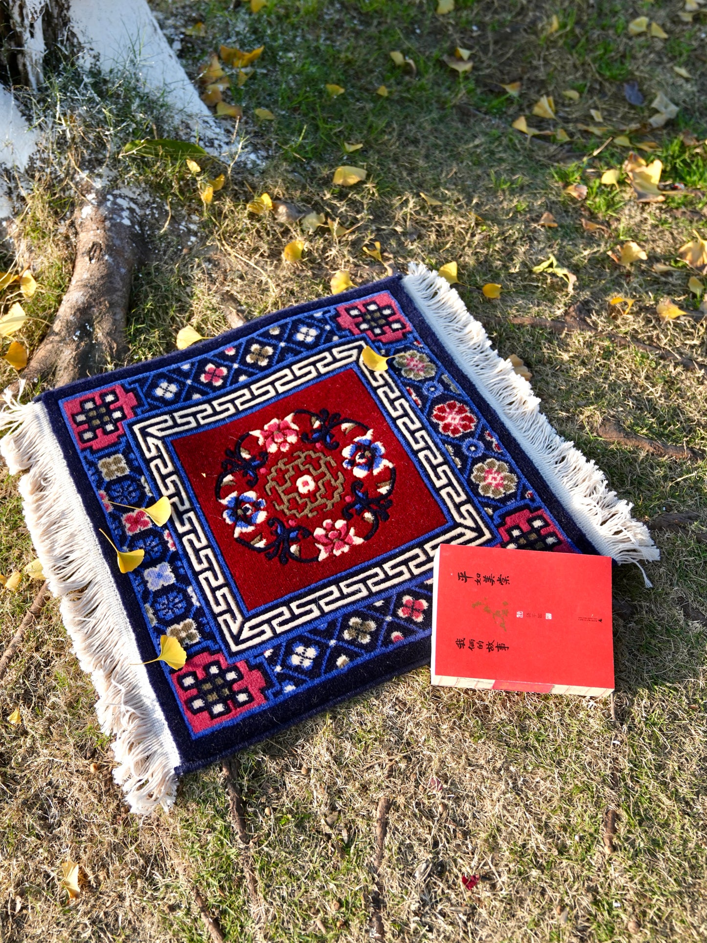 China Red Meditate Rug
